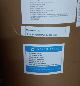 NHÓM KÍ SINH TRÙNG TRỊ BỆNH  
